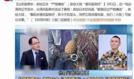 菠萝最新爆料视频,揭秘娱乐圈幕后真相