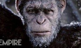 猩猿崛起3在线观看,命运之战在线观影指南：揭秘猿类新纪元的命运抉择